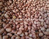 Foto langkah ke 1 dari resep 154. Kacang Telor Renyah.