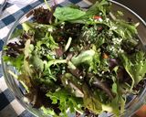 Une image de l'étape 2 de Salade de jeunes pousses aux fines herbes.