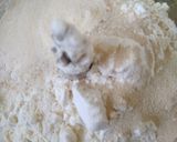 Foto langkah ke 1 dari resep Roti Manis.