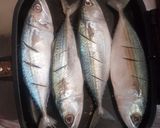 Foto langkah ke 2 dari resep Ikan Kembung Panggang (semi) Woku.