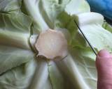Stuffed Cabbage recipe step 2 photo