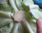 A picture of step 2 of Stuffed Cabbage.