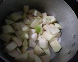 Foto del paso 1 de la receta: Puré de manzana y pera. Todo terreno