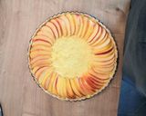 Une image de l'étape 6 de Tarte aux pommes, pâte levée typique #belgique 🇧🇪.