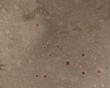 A picture of step 15 of Roti.