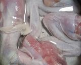 Foto langkah ke 1 dari resep Ayam Rebus Jahe (Pek Cam Kee).