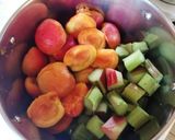 Rebarbarás sárgabarack lekvár levendulával recept fázis 1 fotója