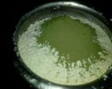 A picture of step 1 of Morianga powder roti.