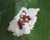 Foto langkah ke 2 dari resep Ketimus/Lemet Singkong.