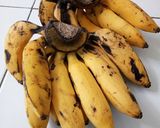 Foto langkah ke 1 dari resep Pisang Janten Crispy.