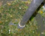 पंजाबी स्टाइल हरी चटनी (punjabi style hari chutney recipe in Hindi) रेसिपी चरण 4 फोटो