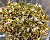 A picture of step 2 of Go Green salad.