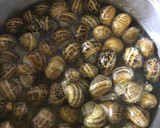 Foto del paso 2 de la receta: Caracoles a mi estilo