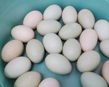 自製鹹蛋的食譜步驟1照片