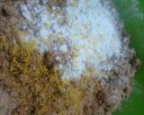 Foto del paso 2 de la receta: Pastafrola integral con masa quebrada