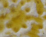 Foto del paso 8 de la receta: Focaccia