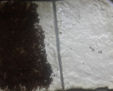 Foto del paso 3 de la receta: Bizcochos materos de azúcar negra  (sin manteca ni grasa)