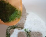 Foto langkah ke 3 dari resep Bakpao Daun Kelor No Mixer.