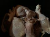 Ayam Woku