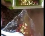 صورة لخطوة 2 من وصفة سلطة الفواكه الرائعه
