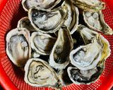 Hình bước làm 1 của món Hàu nướng Phômai với NCKD