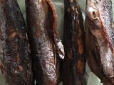 Ikan tongkol suwir pedas