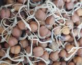 Blackgram Sprout Paratha recipe step 2 photo