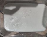 Foto langkah ke 5 dari resep Avocado Cream Chesee.
