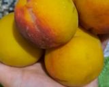 Foto del paso 1 de la receta: Smoothie de duraznos amarillos🍑
