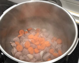 Foto del paso 3 de la receta: Ragout de pavo con verduras