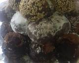 Gateau sans cuisson au cacao