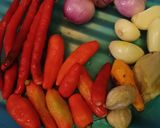 Foto langkah ke 2 dari resep Sontong tiram kuning pedas.