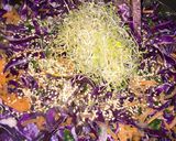 Foto del paso 2 de la receta: Arrolladitos primavera