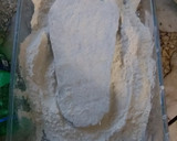 Foto del paso 9 de la receta: Milanesas de berenjenas 🍆