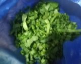 A picture of step 1 of Freeze spinach for pakore.