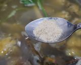 Foto langkah ke 4 dari resep Sop Ayam ala Pak Min Klaten.
