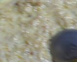 A picture of step 2 of Giye ki kheer.