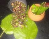 પાન મુખવાસ (Paan Mukhwas Recipe In Gujarati) રેસીપી સ્ટેપ6ફોટો