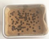 Foto langkah ke 5 dari resep Bolu pisang panggang (takaran sendok dan hanya aduk2).