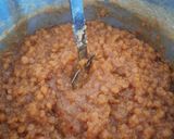 A picture of step 3 of Puran poli.