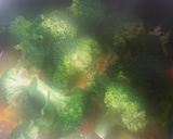 Foto del paso 3 de la receta: Mix de vegetales y lentejas