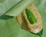 গন্ধরাজ ভেটকি পাতুরি (gondhoraj bhetki paturi recipe in bengali) রেসিপির ধাপ 2 ছবি