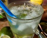 Une image de l'étape 2 de 🌱Mojito.