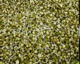 Moong Sprouts Wraps recipe step 1 photo