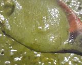 A picture of step 7 of Palak paneer restaurant style.