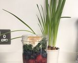 A picture of step 3 of Raspberry smoothie.