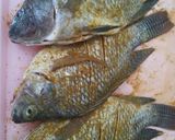 Foto langkah ke 1 dari resep Mangut pedas ikan nila.