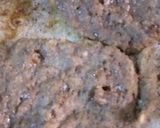 Foto del paso 2 de la receta: Hamburguesa del corre corre 🏃🏃‍♀️