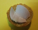 Foto del paso 5 de la receta: Canastillas serranas