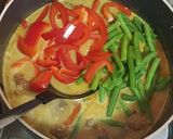 A picture of step 4 of Citrus beef curry.